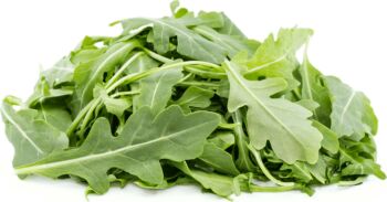 Rukola siata Viktoria