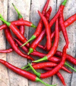 Paprika Damián