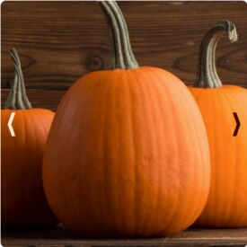 Tekvica Jack O Lantern