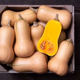 Tekvica Butterscotch