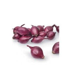 Cibule Akado