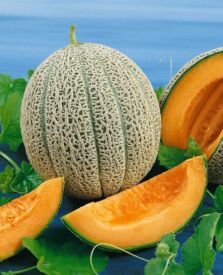 Melón Best Jumbo
