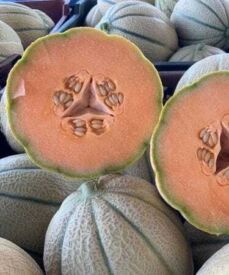 Melón Centro