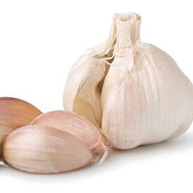 Česnek Flavor