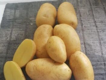 Brambory Goldmarie