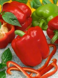 Paprika Granova