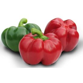 Paprika Greygo