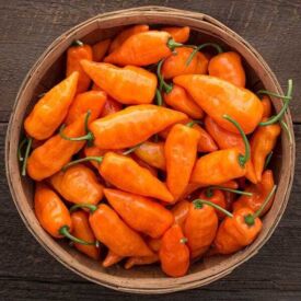 Paprika Habanada