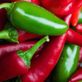 Paprika Jalapeno