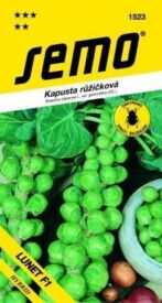 Kapusta Lunet