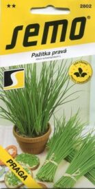 Pažitka Praga