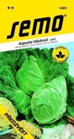 Kapusta Předzvěst