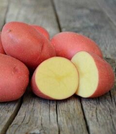 Brambory Red Scarlet