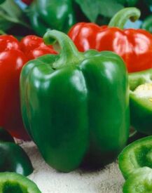 Paprika Rubinova