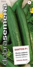 Okurka Santos