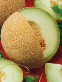 Melón Solartur