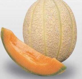 Melón Sweet America