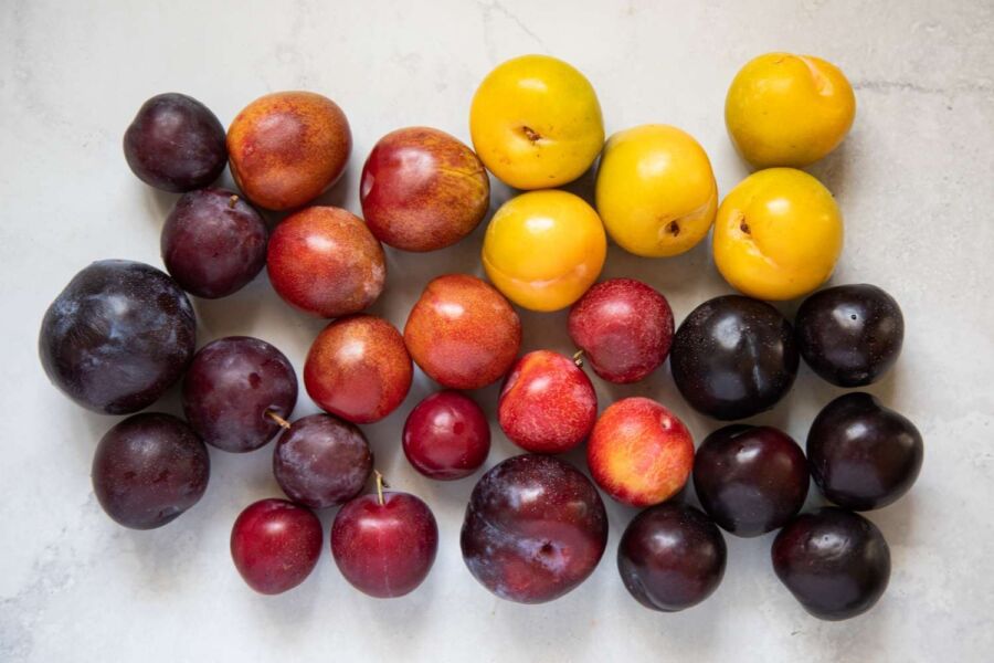 Jakou odrůdu švestek si vybrat, zdroj obrázku: simplyrecipes.com