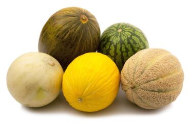 melon