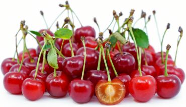 Aký typ višne si vybrať, zdroj: specialtyproduce.com