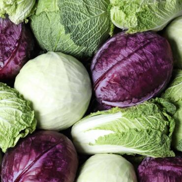 Jaký druh zelí si vybrat, zdroj: saladswithanastasia.com
