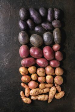 Variety raw potatoes