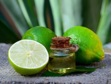 Limetova