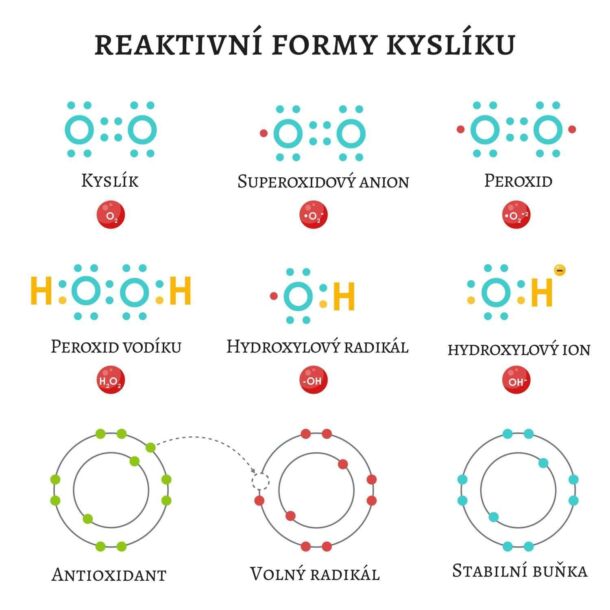 Reaktivní formy kyslíku