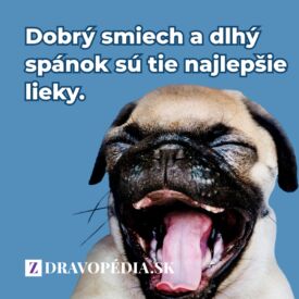 Dobrý smiech a dlhý spánok sú tie najlepšie lieky.