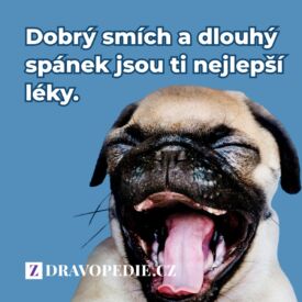 Dobrý smích a dlouhý spánek jsou tí nejlepší léky.