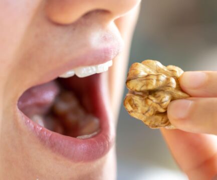 Prírodné antioxidanty v hrsti: Malý sprievodca svetom škrupinových plodov