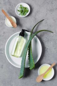 Aloe vera - 10 účinků na zdraví