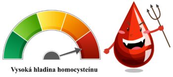 Homocysteín - ako ovplyvňuje naše zdravie