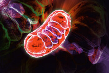 Mitochondriálna choroba - 5 prirodzených spôsobov liečby