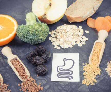 Črevný mikrobióm a jeho vplyv na naše zdravie