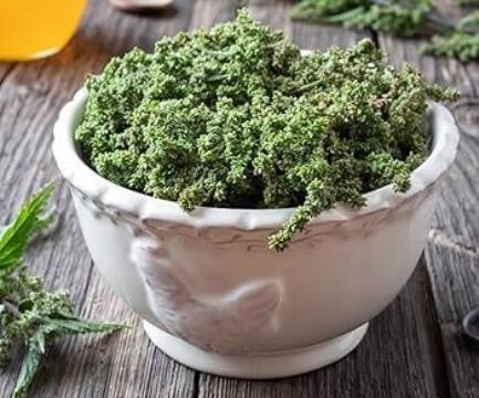 Žihľavové semienka - 8 účinkov na zdravie