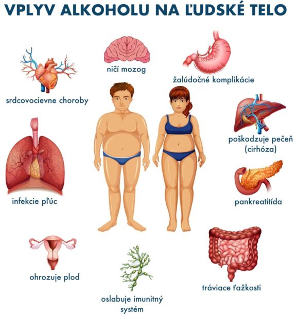 Negatívne dopady pitia alkoholu na orgány a sústavy tela. Zdroj foto: Shutterstock