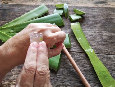 Aloe vera pomáha bojovať proti starnutiu pokožky