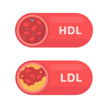 Pektin pomáhá snižovat hladinu cholesterolu