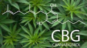 CBG