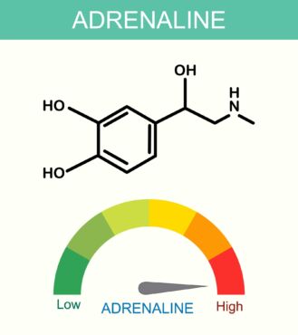 Adrenalin