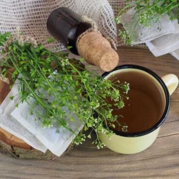 Ako kapsičku pastiersku používať, zdroj: herbalreality.com