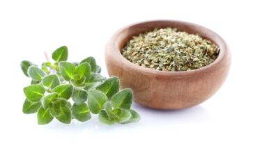 Kedy pamajorán obyčajný používať