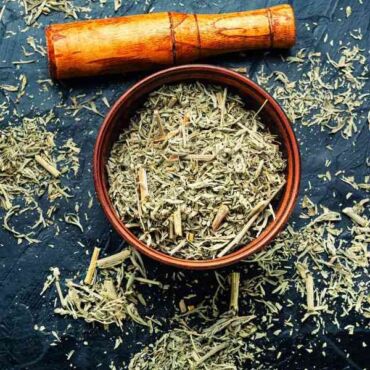 Ako palinu pravú používať, zdroj: seedstation.com.au