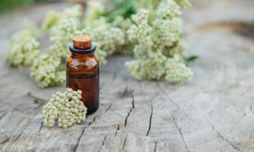 Ako rebríček obyčajný používať