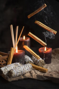 palo santo, freepik.com