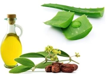 Ak máte problém s kožnými chorobami vyskúšajte aloe vera.