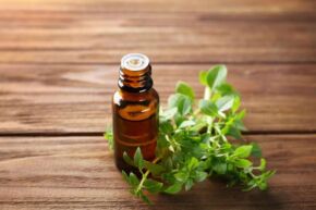 Oreganovy olej