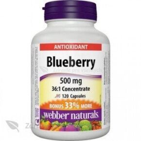 Čučoriedka 500 mg