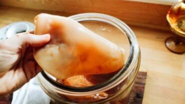 Kombucha1